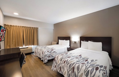 Cortaro Hôtel | Red Roof Inn Tucson North - Marana