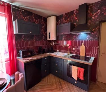 Chateauroux Appartement | RED SPARROW -T2 avec jacuzzi