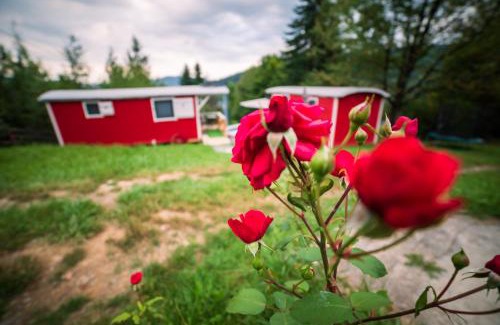 Gura Humorului Autre | RED Tiny Houses