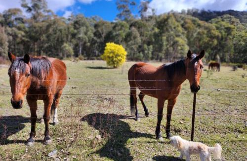 Hartley Maison | Redgate Homestead