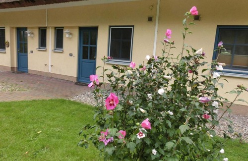Puddemin Maison | Reetdachhaus Malve 3 im Feriendorf Puddeminer Wiek