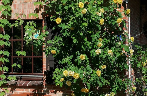 Luetjensee Maison | Reetgedecktes Ferienhaus am Strandweg