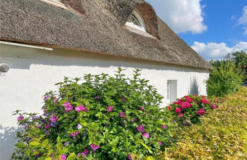 Lehe Maison | Reethus Rosengarten