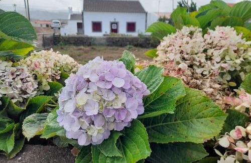Praia da Vitoria Maison | Refúgio das Pedreiras