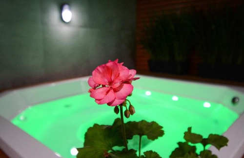 Campeche Sul Maison | Refúgio dos Corais - Campeche - Floripa