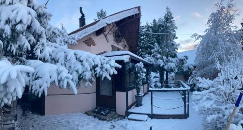 Metabief Chalet De Ski | Refuge de l'Ecureuil