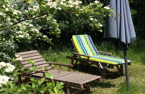 Randowtal Appartement | Refuge dans l'Uckermark + beaucoup de nature + idylle avec sauna de jardin + vie élégante