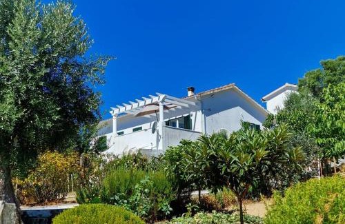 Vila de Rei Maison | Refugio Abrunheiro Grande
