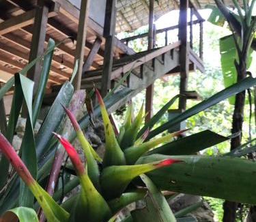 San Carlos Maison | Refugio Cumaná
