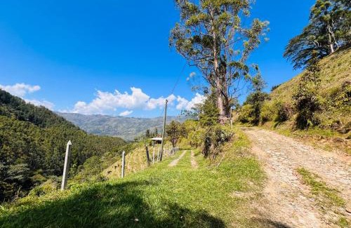Barbosa Appartement | Refugio en el bosque