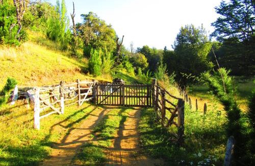 Curacautin Maison | Refugio Montaña Kultrun Mawida, Mini-Cabaña con baño y cocina privada