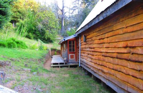 Curacautin Maison | Refugio Montaña Kultrun Mawida, Mini-Cabaña con baño y cocina privada