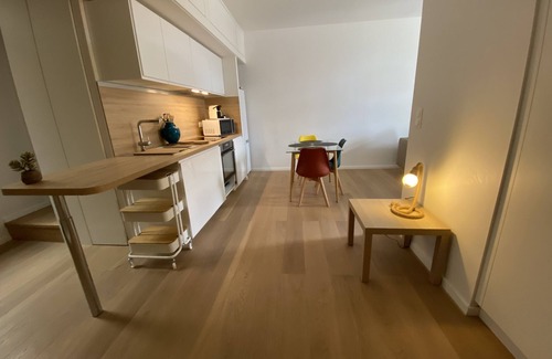 Saint-Mathieu Appartement | Appartement T2 refait neuf beaucoup de charme dans centre historique Perpignan