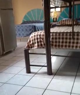 Rincon de Guayabitos Hôtel | Regina