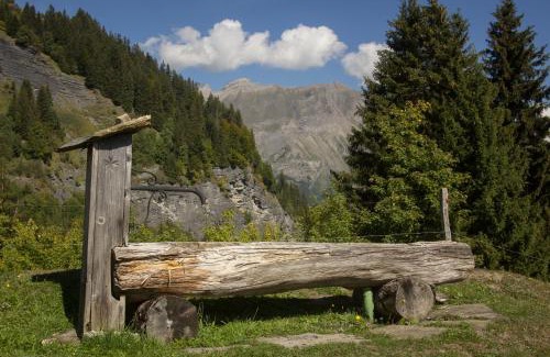 Saint-Nicolas-la-Chapelle Chalet De Ski | Reine des Aravis - chalet isolé