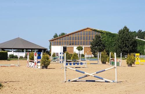 Horst Appartement | Reitanlage Duffner