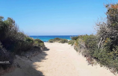 Baia Verde Appartement | RELAIS MAFALDA GALLIPOLI GREEN BAY WITH GARDEN