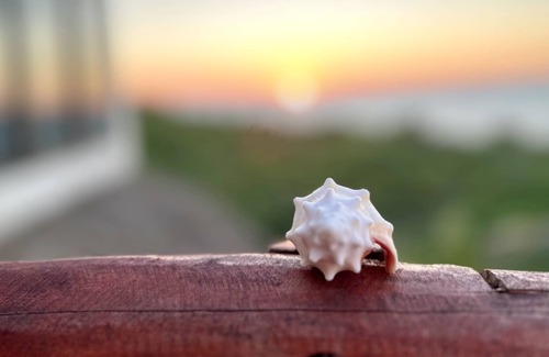 Sisal Appartement | Relax and connect w/nature on this private beachfront studio with great sunsets.