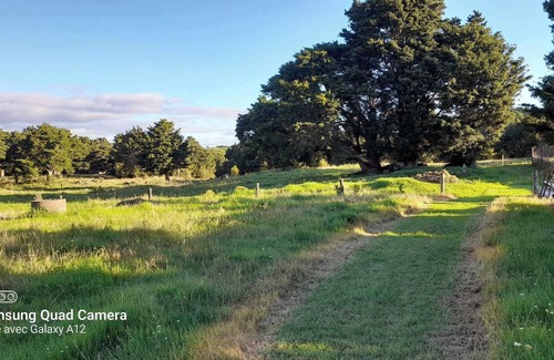 Taheke Cabine | Relax at this comfortable rural 1 bedroom property