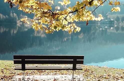 Montagnaga Appartement | Relax e natura vicino a Trento