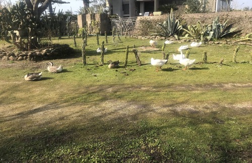 Paestum Appartement | Relaxation and privacy in park 1km from archaeological zone.