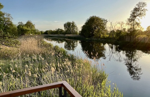 Bad Freienwalde Location De Bateaux | Relaxation on the water! 50sqm luxury houseboat in the middle of the nature of the Oderbruch
