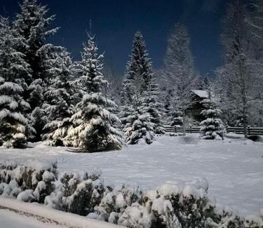 Manyava Chalet De Ski | Relaxation in Guta Гута покращене шале