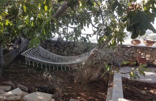 Safed Appartement | Relaxed garden apartment with Galilee sea view 1