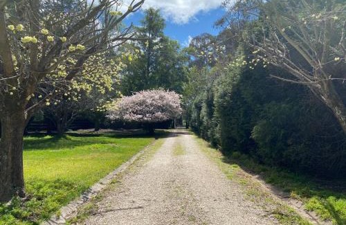 Burrawang Maison | Relaxing at acreage farmhouse