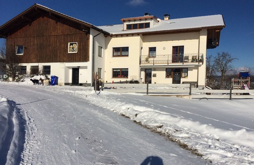 Seeg Appartement | Des vacances reposantes avec le "Königscard" et une vue imprenable sur les Alpes