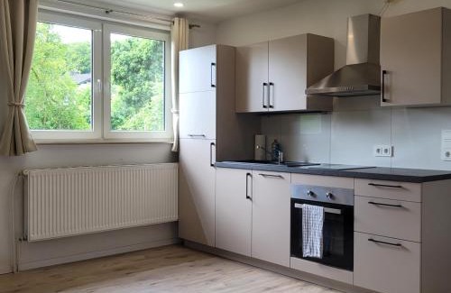 Bad Arolsen Appartement | Reload Apartments - FeWo1 im Remmeker Feld