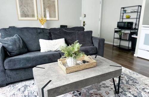 Congress Park Appartement | ❊ ❊ ❊ Remodeled Congress Park Flat ❊ ❊ ❊ With Free Reserved Parking