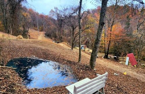 Coal Fork Chalet De Ski | Remote Mountain A-Frame with BBQ Perfect for Nature Lovers in West Virginia