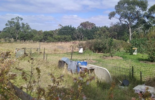 Pearcedale Autre | remove my house from the listing