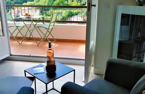 Amelie-les-Bains-Palalda Appartement | Studio rénové plein sud + Parking