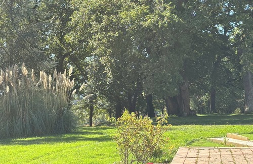 Bezac Autre | Renovated hilltop farmhouse property 17 hectares, gorgeous views close to Bonnac