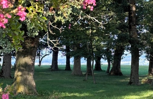 Bezac Autre | Renovated hilltop farmhouse property 17 hectares, gorgeous views close to Bonnac