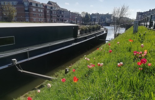 Rooigem Location De Bateaux | Péniche rénovée dans le centre de Gand (Sailor Room)