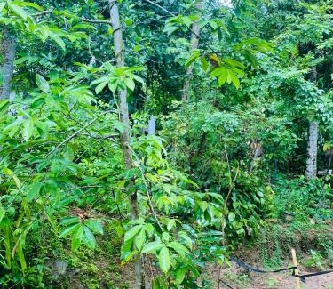 Malimbada Cabine | Rent Home