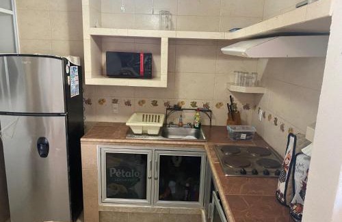 Boulevard Barra Vieja Appartement | Renta de departamento en Acapulco Diamante