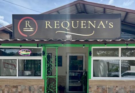 David Appartement | RequenaS