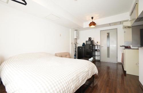 Toyohira Appartement | Residence Hotel #4 最大4名 エアコン 無料Wi-Fi