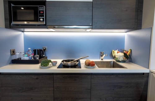 ZAC Andromede Hôtel | Residence Inn by Marriott Toulouse-Blagnac