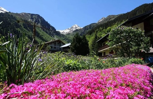 Beaufort Appartement | Appartement 4 à 5 personnes pied des pistes au Planay