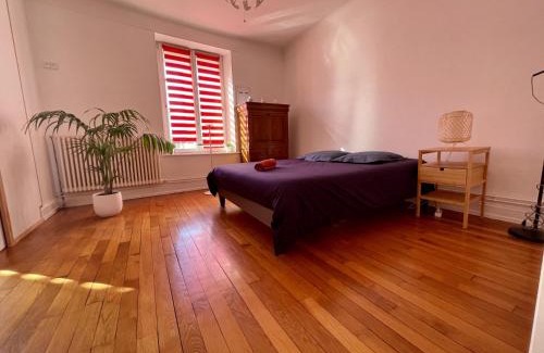 Vittel Appartement | Residence Louis Quartier Centre Ville