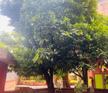 Le Plateau Appartement | Residence Roume Abidjan Plateau