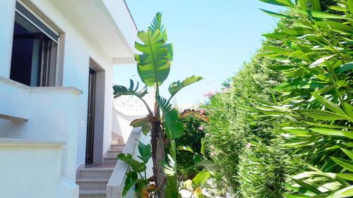 Torre Suda Maison | Residence Salentoholidays