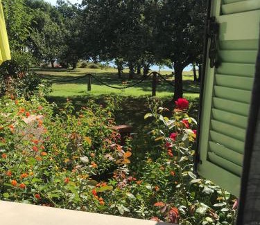 Poggio-Mezzana Appartement | Residence Scopa Marina