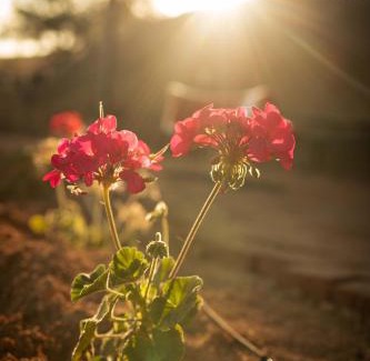 Casablanca Chalet De Ski | Residencia Artistica CasaVino