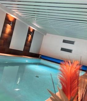 Ernst Appartement | Residenz Moselzauber - Ferienwohnungen mit Pool Landschaft